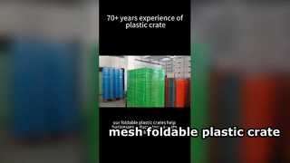 Embalagem de caixa de plástico dobrável de malha para solução de logística reutilizável que economiza espaço para clientes nos EUA