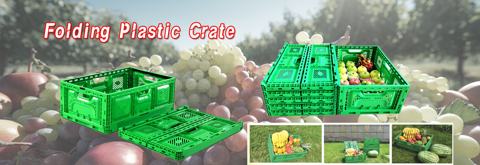 qualidade Caixa de plástico dobrável fábrica