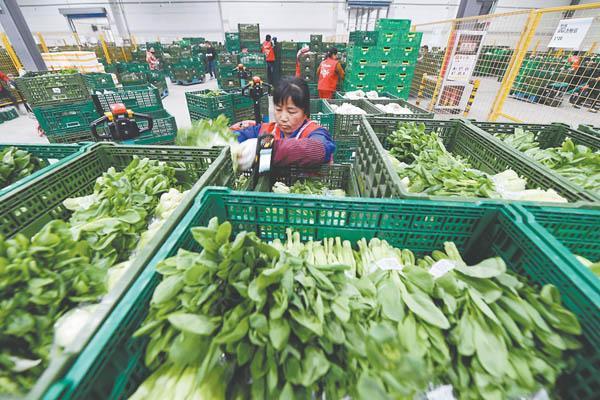 Últimos blogs da empresa sobre Por que as caixas de malha de 600×400×220mm estão se tornando o padrão para a entrega de produtos frescos na última milha em 2026